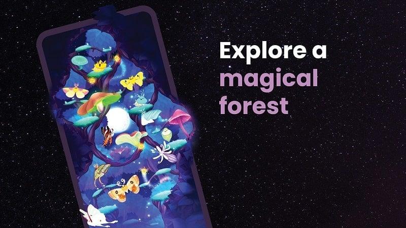 Flutter: Starlight APK 2