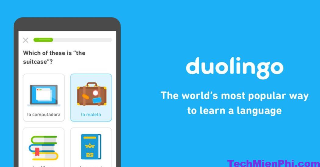 Tải Duolingou Apk: App học tiếng Anh miễn phí cho Android, IOS